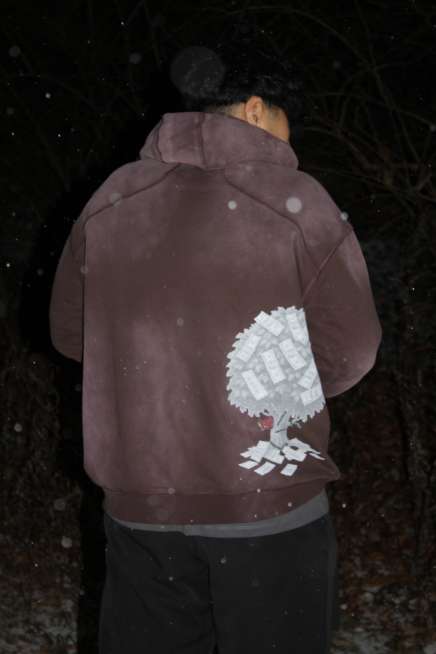 "Fortune is grown, not given." Hoodie
